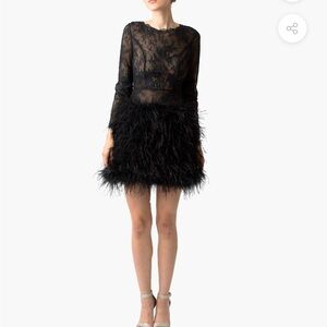 Narces Black Lace Feather Mini Dress